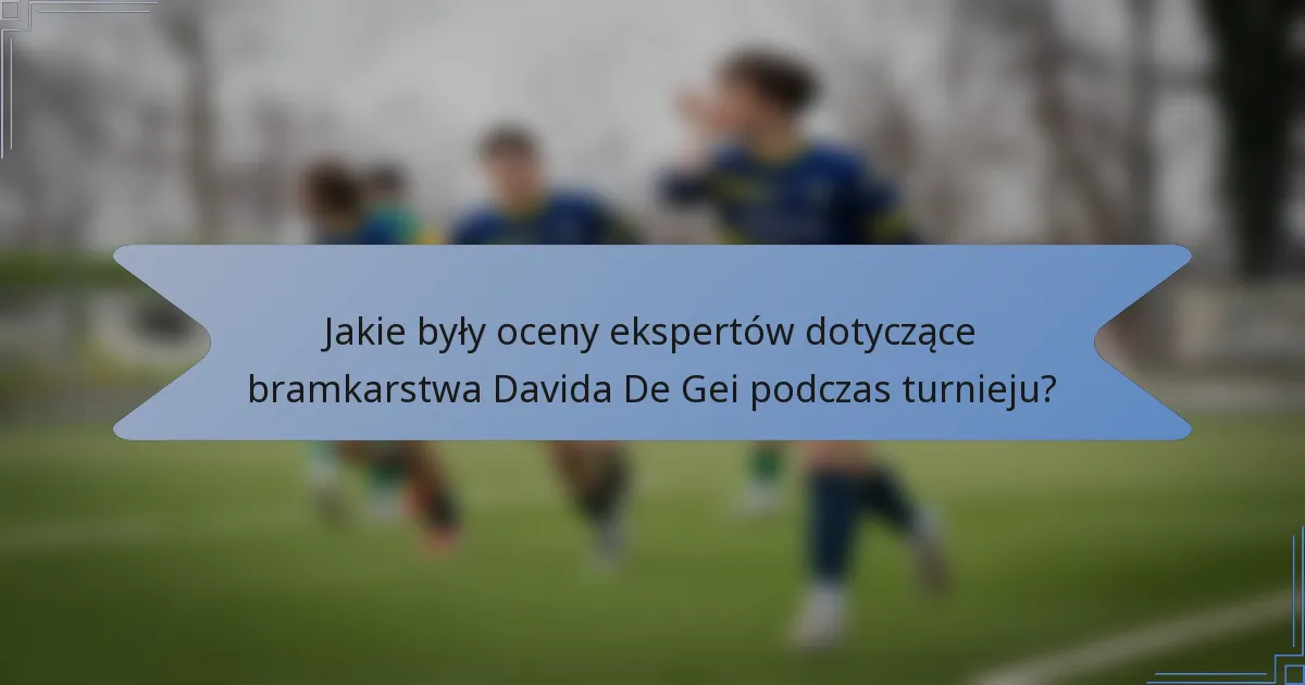 Jakie były oceny ekspertów dotyczące bramkarstwa Davida De Gei podczas turnieju?